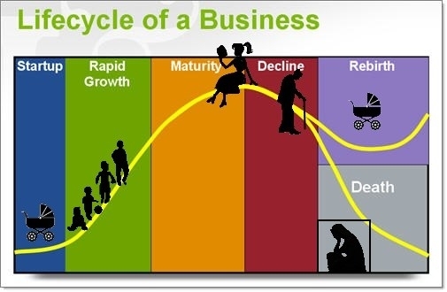 lifecycle